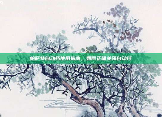 帕萨特自动挡使用指南，如何正确关闭自动挡