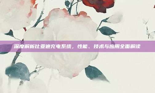 深度解析比亚迪充电系统，性能、技术与应用全面解读