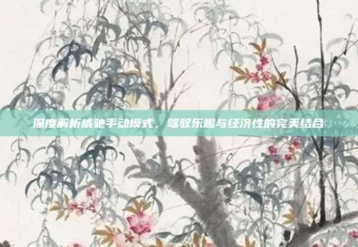 深度解析威驰手动模式，驾驭乐趣与经济性的完美结合