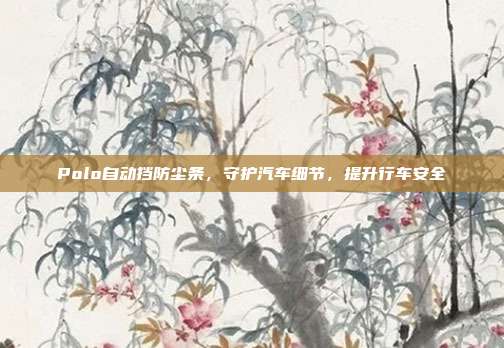 Polo自动挡防尘条，守护汽车细节，提升行车安全