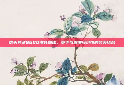 虎头奔驰S600油耗揭秘，豪华与燃油经济性的完美结合