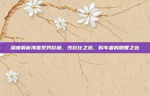 深度解析海星系列价格，性价比之选，购车者的明智之选