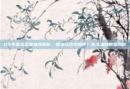 05年蓝鸟至尊油耗解析，燃油经济性如何？真实油耗数据揭秘
