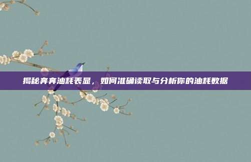 揭秘奔奔油耗表显，如何准确读取与分析你的油耗数据