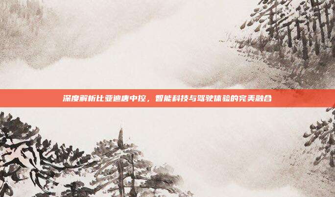 深度解析比亚迪唐中控，智能科技与驾驶体验的完美融合