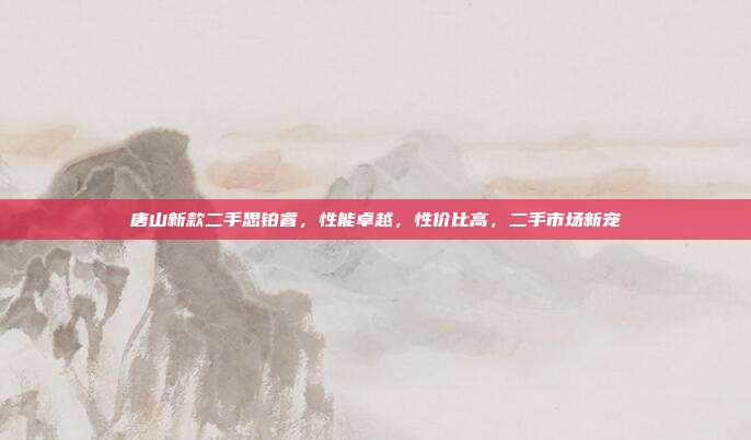唐山新款二手思铂睿，性能卓越，性价比高，二手市场新宠