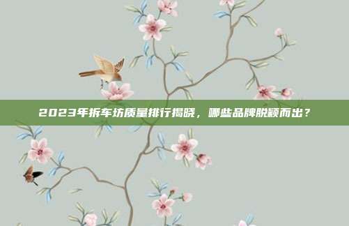 2023年拆车坊质量排行揭晓，哪些品牌脱颖而出？