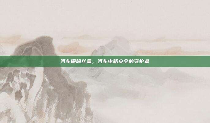 汽车保险丝盒，汽车电路安全的守护者