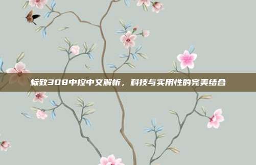 标致308中控中文解析，科技与实用性的完美结合