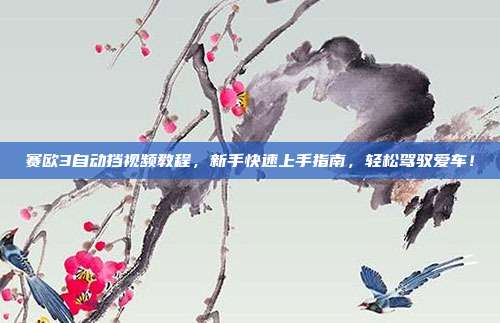 赛欧3自动挡视频教程，新手快速上手指南，轻松驾驭爱车！