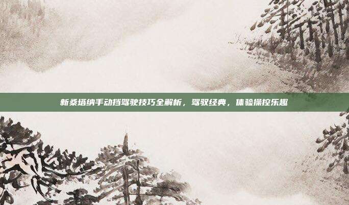 新桑塔纳手动挡驾驶技巧全解析，驾驭经典，体验操控乐趣
