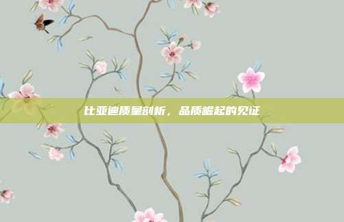 比亚迪质量剖析，品质崛起的见证
