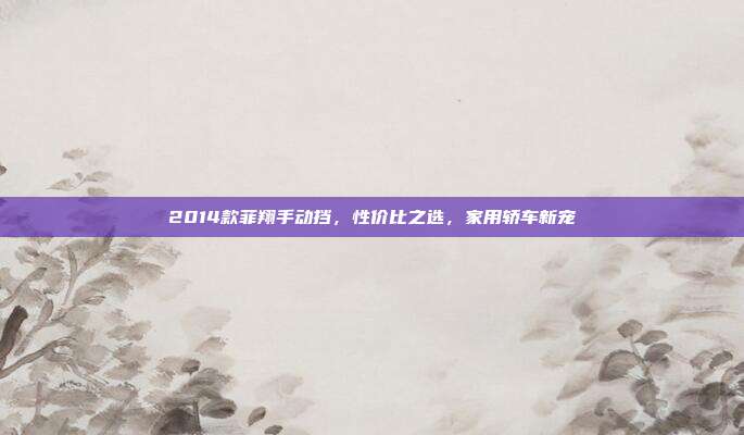 2014款菲翔手动挡，性价比之选，家用轿车新宠