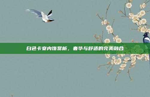 白色卡宴内饰赏析，奢华与舒适的完美融合