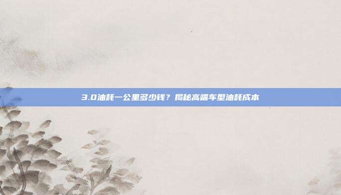 3.0油耗一公里多少钱？揭秘高端车型油耗成本