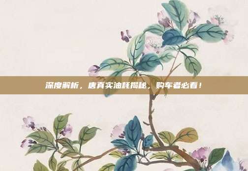 深度解析，唐真实油耗揭秘，购车者必看！