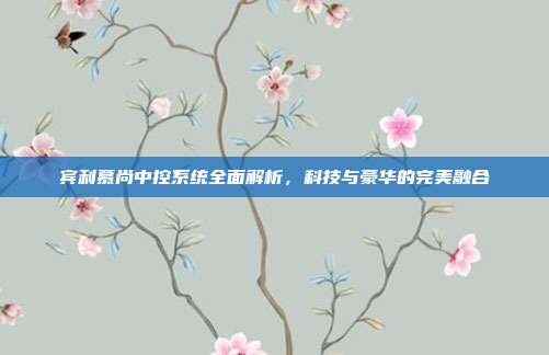 宾利慕尚中控系统全面解析，科技与豪华的完美融合