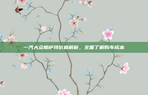 一汽大众帕萨特价格解析，全面了解购车成本