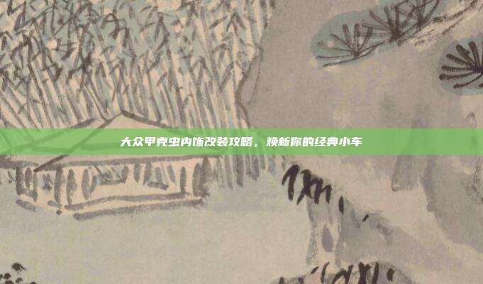 大众甲壳虫内饰改装攻略，焕新你的经典小车
