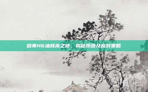 哈弗H6油耗高之谜，揭秘原因及应对策略