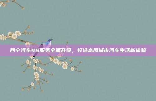 西宁汽车4S服务全面升级，打造高原城市汽车生活新体验