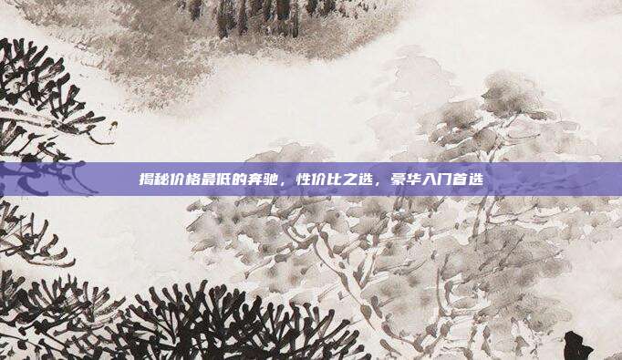 揭秘价格最低的奔驰，性价比之选，豪华入门首选