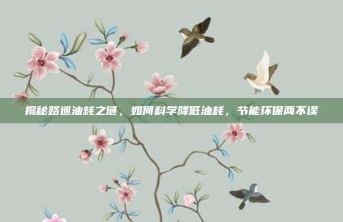 揭秘路巡油耗之谜，如何科学降低油耗，节能环保两不误