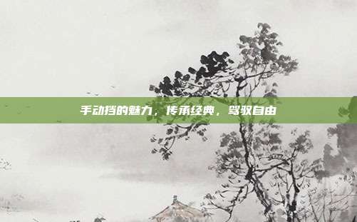 手动挡的魅力，传承经典，驾驭自由
