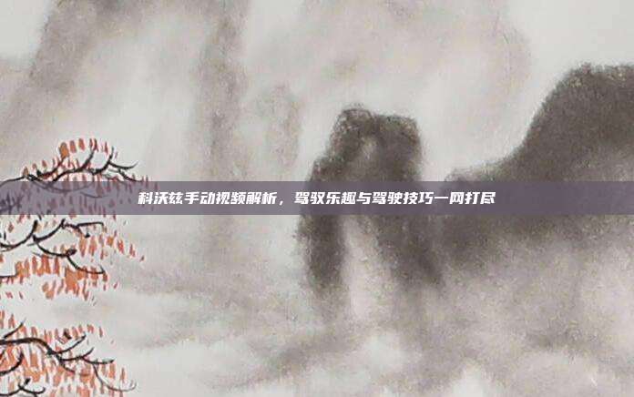 科沃兹手动视频解析，驾驭乐趣与驾驶技巧一网打尽