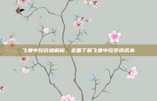 飞度中控价格解析，全面了解飞度中控系统成本