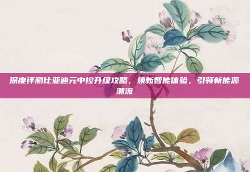 深度评测比亚迪元中控升级攻略，焕新智能体验，引领新能源潮流