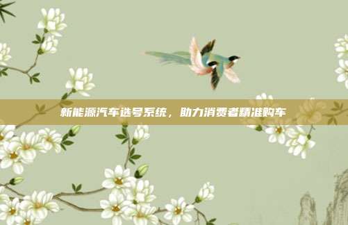 新能源汽车选号系统，助力消费者精准购车