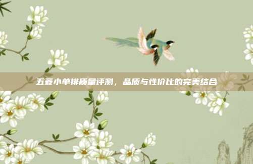 五菱小单排质量评测，品质与性价比的完美结合