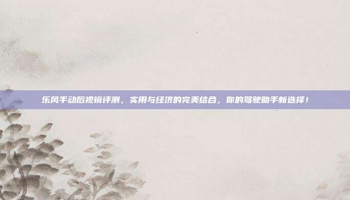 乐风手动后视镜评测，实用与经济的完美结合，你的驾驶助手新选择！