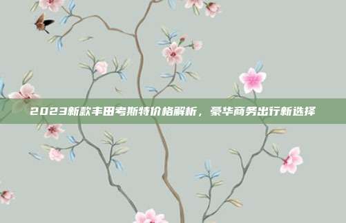 2023新款丰田考斯特价格解析，豪华商务出行新选择