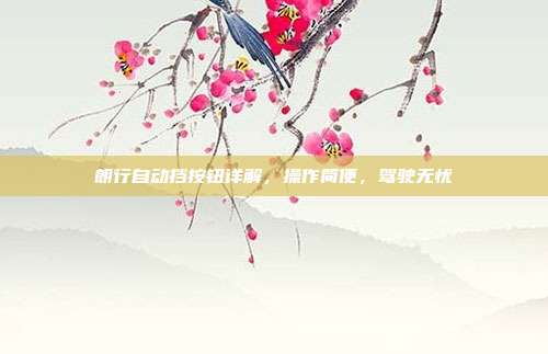 朗行自动挡按钮详解，操作简便，驾驶无忧
