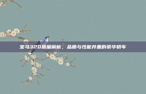 宝马320质量解析，品质与性能并重的豪华轿车