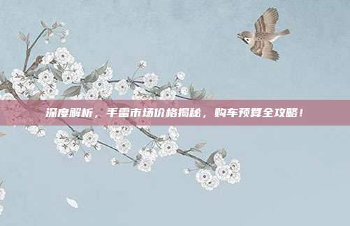 深度解析，手雷市场价格揭秘，购车预算全攻略！