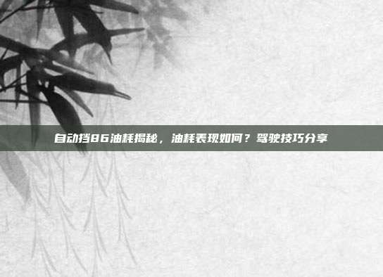 自动挡86油耗揭秘，油耗表现如何？驾驶技巧分享