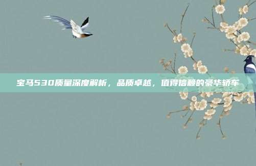 宝马530质量深度解析，品质卓越，值得信赖的豪华轿车