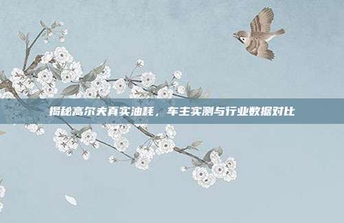 揭秘高尔夫真实油耗，车主实测与行业数据对比
