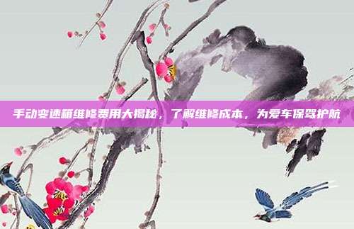 手动变速箱维修费用大揭秘，了解维修成本，为爱车保驾护航