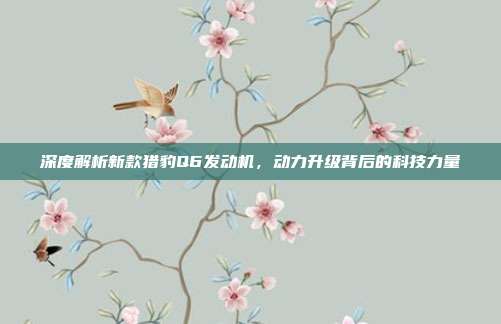 深度解析新款猎豹Q6发动机，动力升级背后的科技力量