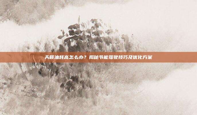 天籁油耗高怎么办？揭秘节能驾驶技巧及优化方案