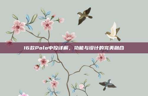 16款Polo中控详解，功能与设计的完美融合