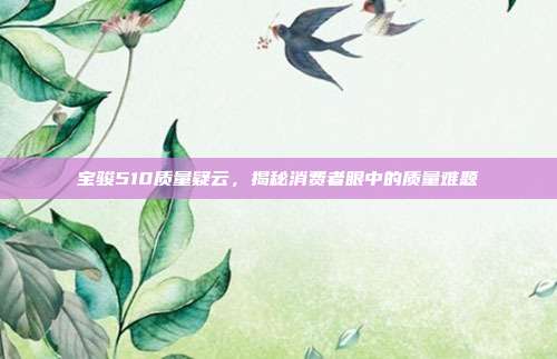 宝骏510质量疑云，揭秘消费者眼中的质量难题