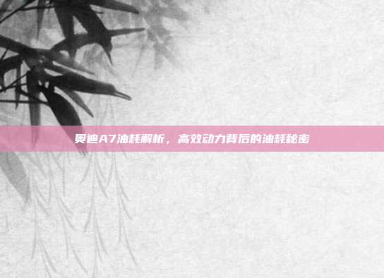 奥迪A7油耗解析，高效动力背后的油耗秘密
