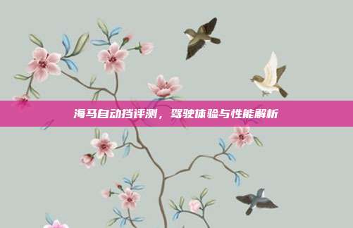海马自动挡评测，驾驶体验与性能解析