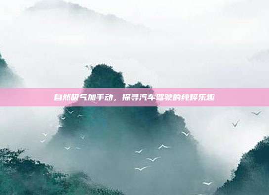 自然吸气加手动，探寻汽车驾驶的纯粹乐趣