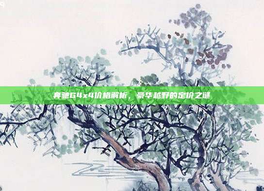 奔驰G4x4价格解析，豪华越野的定价之谜